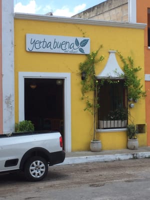 Yerbabuena del sisal by null