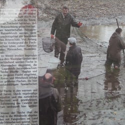 Fischmeisterei Lübbe - Informationstext der Hinweistafel