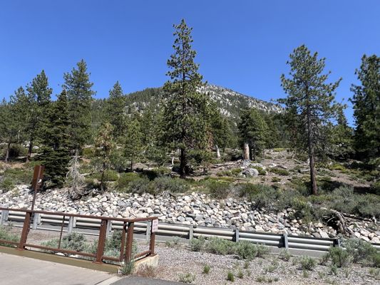 Flume Trail Bikes by null