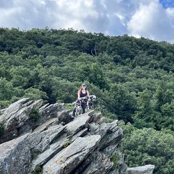Humpback Rocks - Dogs love it!