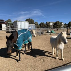 Shoestring City Ranch
