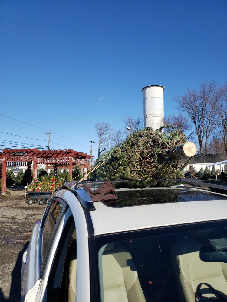 Another successful tree choice season!! Yelp