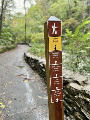 Natural Bridge State Park by null