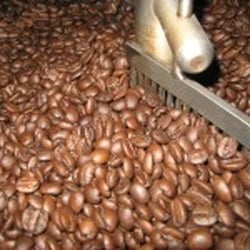 Rogue Elephant Coffee Roasting Company - Beans cooling