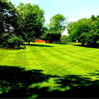 Weed Man - a field of green grass and trees - Pest Control Near Me - Plain City, Ohio