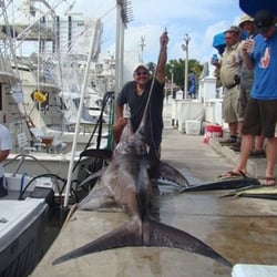 Taco Hooked Up Fishing Charters