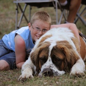 Pets At Peace - Pet Hospice Near Me Pets At Peace - Pet Hospice Near Me