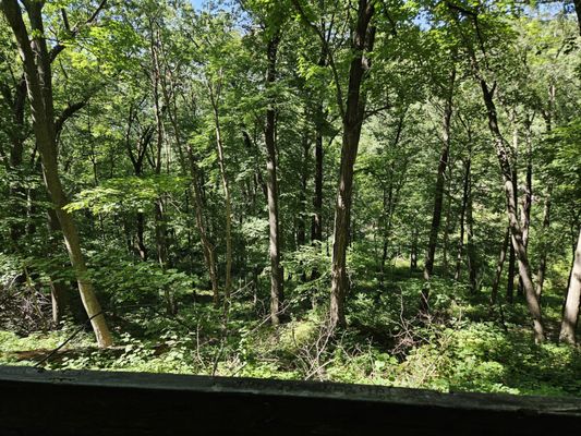 Mississippi Palisades State Park by null