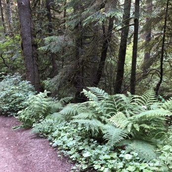 Lake Padden Park - Golf Near Me - Bellingham, Washington Lake Padden Park - Golf Near Me - Bellingham, Washington