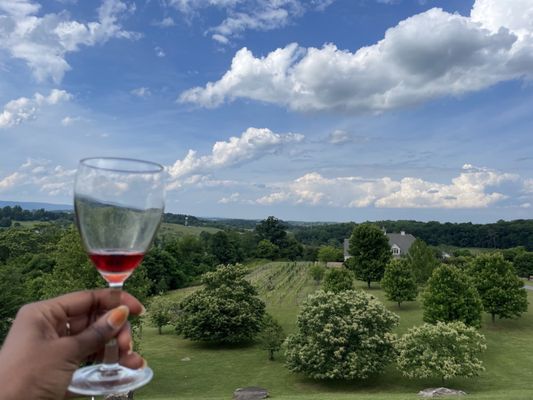 Blue Valley Vineyard and Winery by null