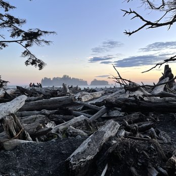 Rialto Beach - Driftwood city - Hiking Near Me Rialto Beach - Driftwood city - Hiking Near Me