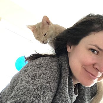 99 dalmatians staten island