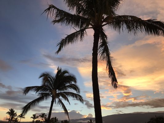 Menehune Shores Condominium by null