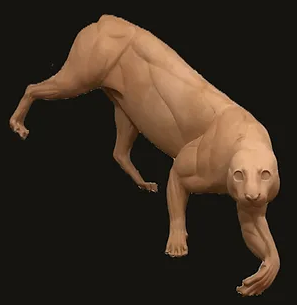 Geryak’s Taxidermy Supply - taxidermy in Martinsville, IN