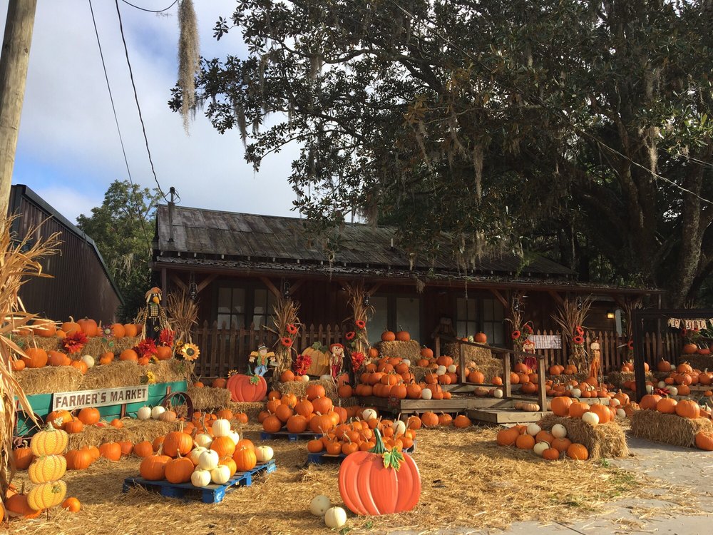 K C’S PRODUCE Updated October 2024 14 Photos & 10 Reviews 2275 E