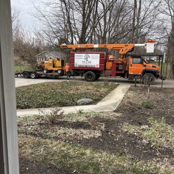 We Care Tree Service - After - Tree Services Near Me