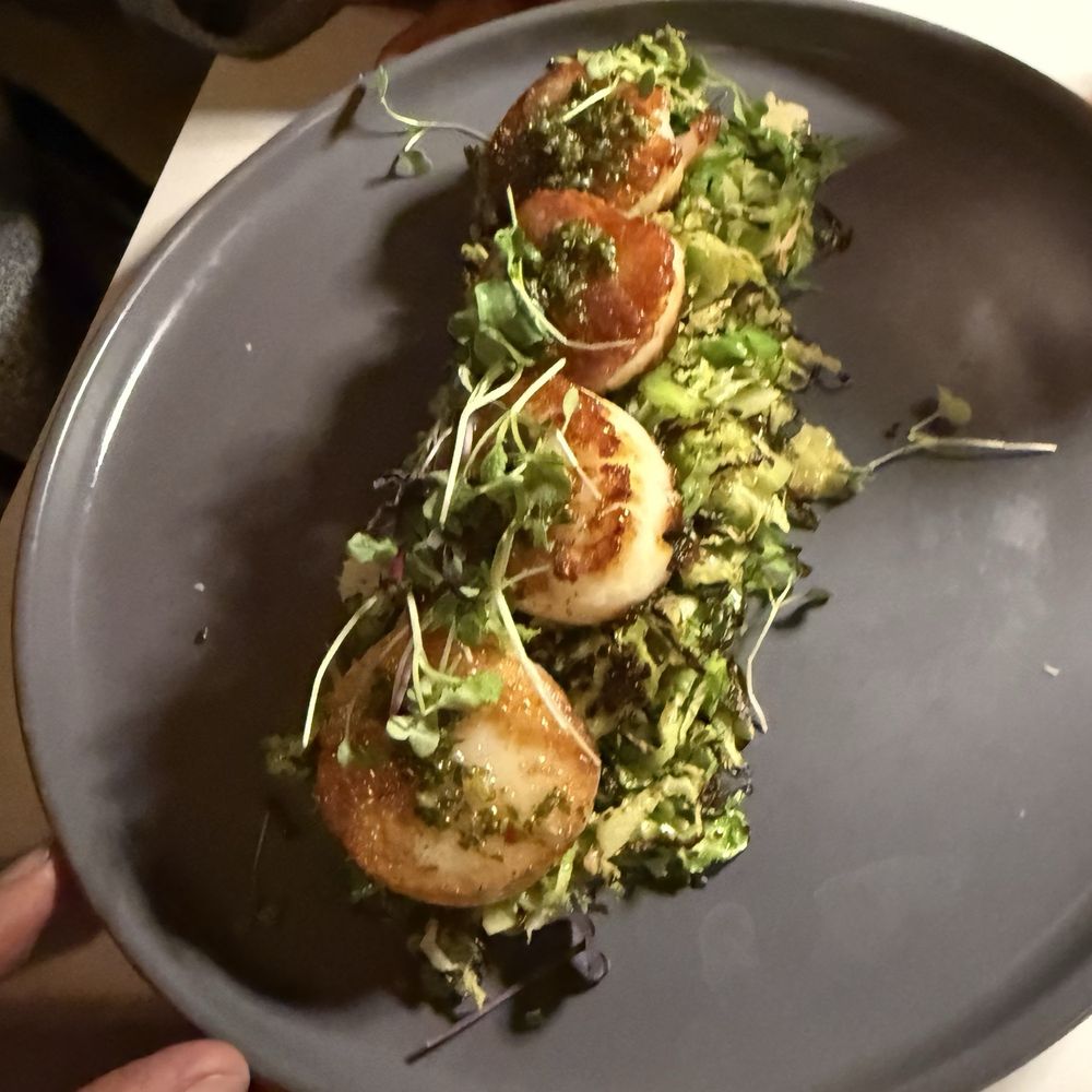 Sea scallops Sea scallops