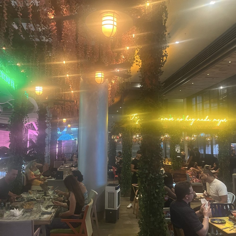 Tacology - Tacology - Mexican Near Me - Miami, Florida