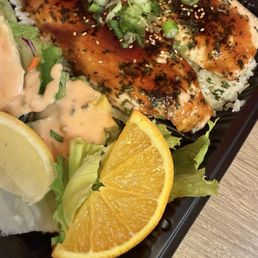 Salmon Plate