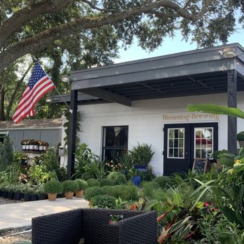 Lucid Beans - Coffee & Tea Near Me - Orlando, Florida Lucid Beans - Coffee & Tea Near Me - Orlando, Florida