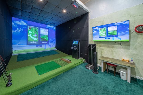 W Screen Golf by null