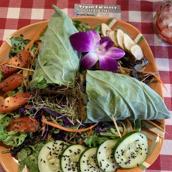 Vegan Farmacy - Save the Tuna Wrap - Vegan Near Me - Fort Pierce, Florida