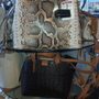 Photo of T J Maxx