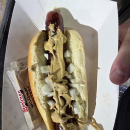 Polish dog from thr Kosher dog stand with raw onions and stadium muatard. Delicious! Polish dog from thr Kosher dog stand with raw onions and stadium muatard. Delicious!