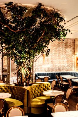 Frida's Mexican Cuisine by null