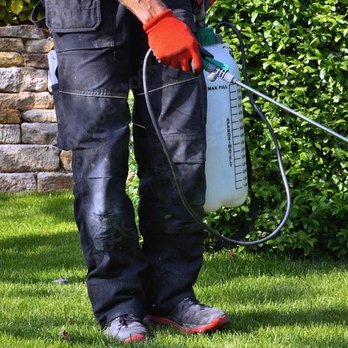 Front Line Pest Control Inc. - Full service for all your pest control needs - Pest Control Near Me - San Jose, California Front Line Pest Control Inc. - Full service for all your pest control needs - Pest Control Near Me - San Jose, California