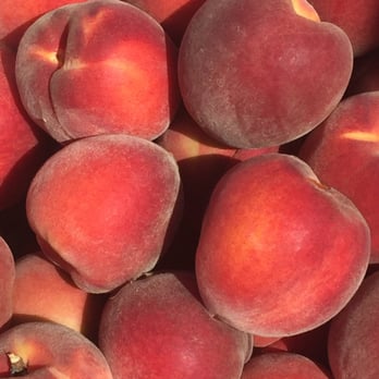 Rancho Zaragoza - Fresh peaches. - Farmers Market Near Me - Brentwood, California Rancho Zaragoza - Fresh peaches. - Farmers Market Near Me - Brentwood, California