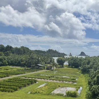 Kualoa Ranch - Tours Near Me - Kaneohe, Hawaii