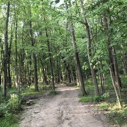 Mentor Marsh Nature Preserve - Trail