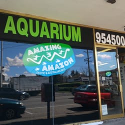 Amazing Amazon Exotic & Australian Pets