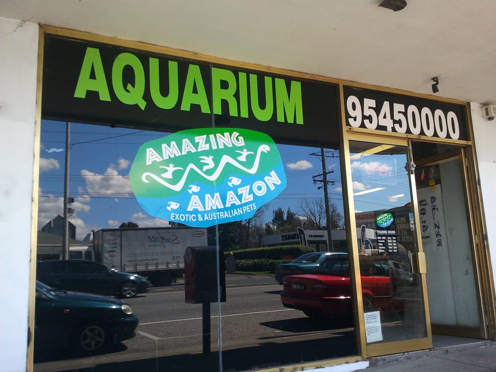 AMAZING AMAZON EXOTIC & AUSTRALIAN PETS Updated August 2024 365