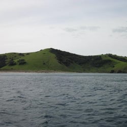 Carino Sailing And Dolphin Adventures - Water