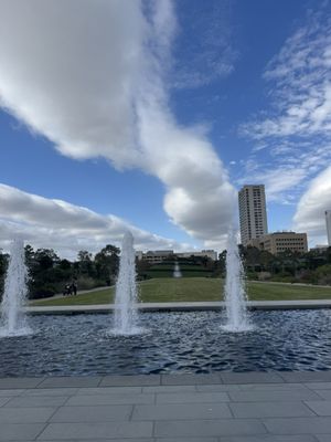 McGovern Centennial Gardens by null