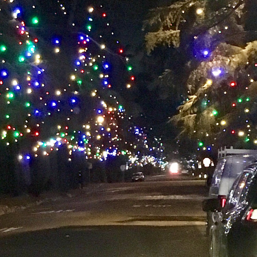 Christmas Tree Lane - Charming, but I guess I was expecting it to be brighter... - Christmas Trees Near Me - Altadena, California Christmas Tree Lane - Charming, but I guess I was expecting it to be brighter... - Christmas Trees Near Me - Altadena, California