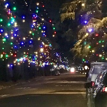 Christmas Tree Lane - Charming, but I guess I was expecting it to be brighter... - Christmas Trees Near Me - Altadena, California
