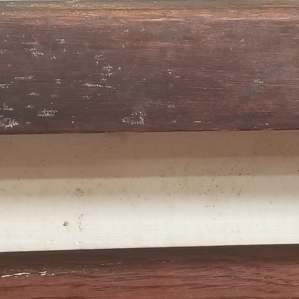 Chili's - Dirty sill by where I was easting - American Near Me - Orange City, Florida