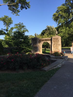 Ritter Park Rose Garden by null