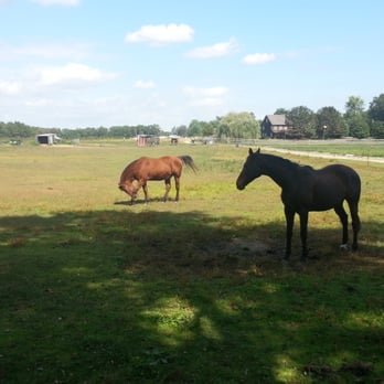 Giamarese Farm - Horses - Farmers Market Near Me - East Brunswick, New Jersey Giamarese Farm - Horses - Farmers Market Near Me - East Brunswick, New Jersey