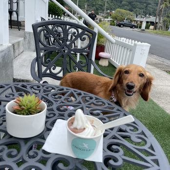 Choco le'a - Soft cream on patio - Chocolatiers & Shops Near Me - Honolulu, Hawaii