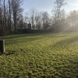 hundewiese