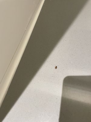 Dandy Hotel Daan Park by null