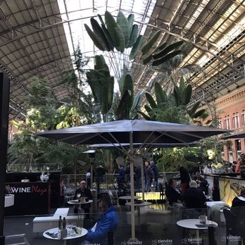 Estación de Madrid Atocha - Botanical Garden indoors at Atocha - Train Stations Near Me - Madrid, M Estación de Madrid Atocha - Botanical Garden indoors at Atocha - Train Stations Near Me - Madrid, M