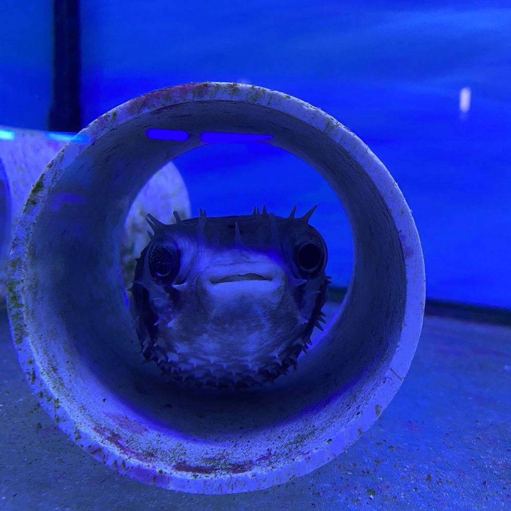 J & L Aquatics - Pet Stores Near Me - Burnaby, British Columbia
