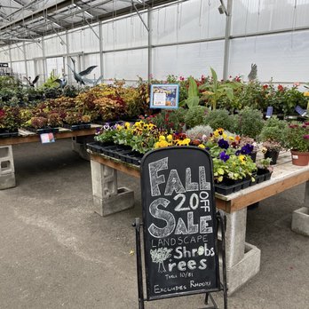Young's Garden Center - Fall Sale! - Nurseries & Gardening Near Me - Roseburg, Oregon Young's Garden Center - Fall Sale! - Nurseries & Gardening Near Me - Roseburg, Oregon