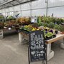 Photo of Young's Garden Center