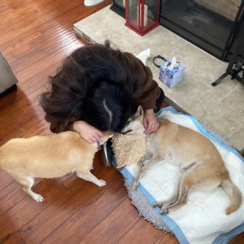 Transitions In Home Pet Euthanasia - Kobe's sister and I saying our goodbyes to Kobe - Veterinarians Near Me Transitions In Home Pet Euthanasia - Kobe's sister and I saying our goodbyes to Kobe - Veterinarians Near Me